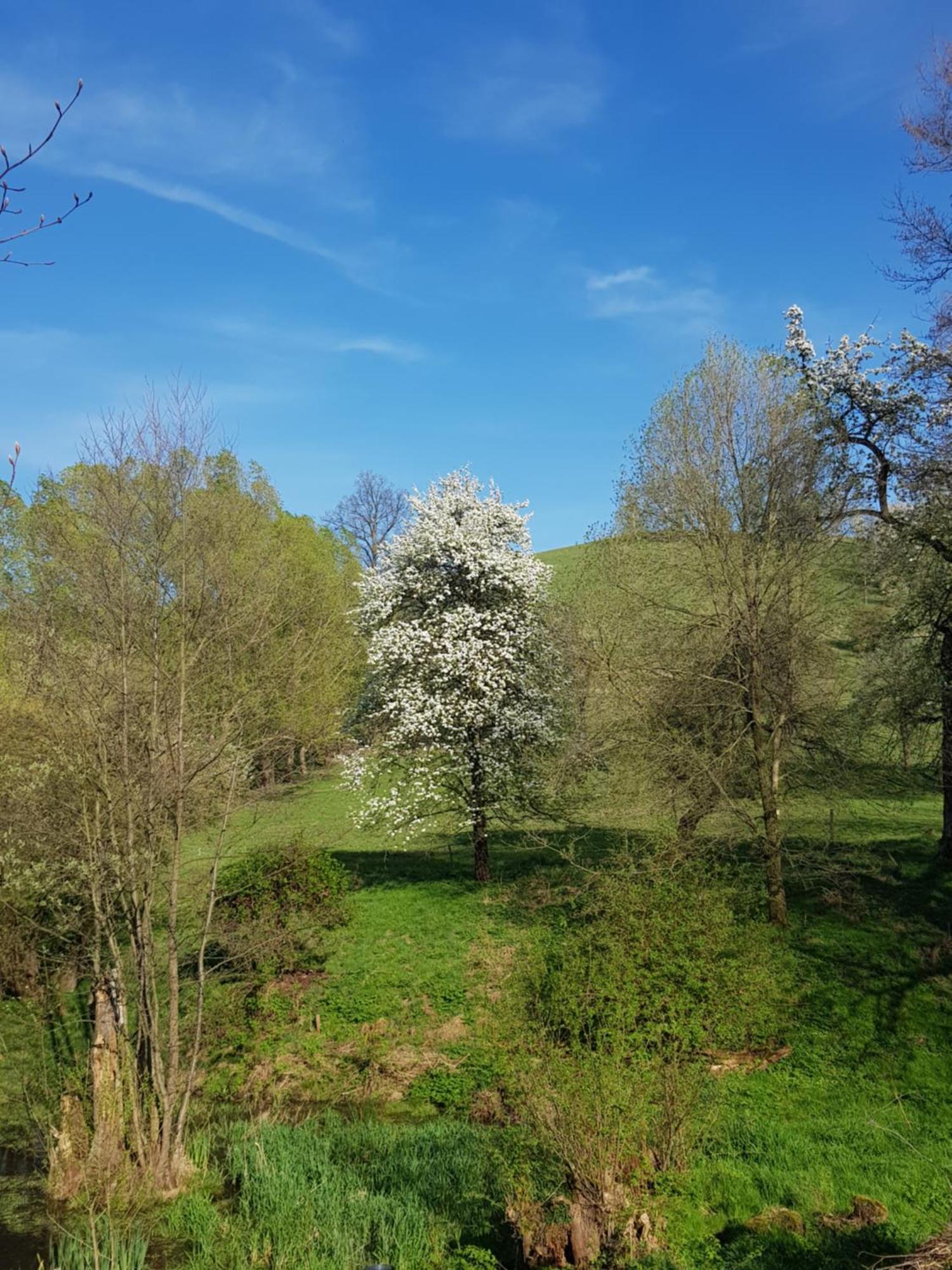 Na Piotrowickiej Przeleczy Villa Bystrzyca Kłodzka Exterior foto