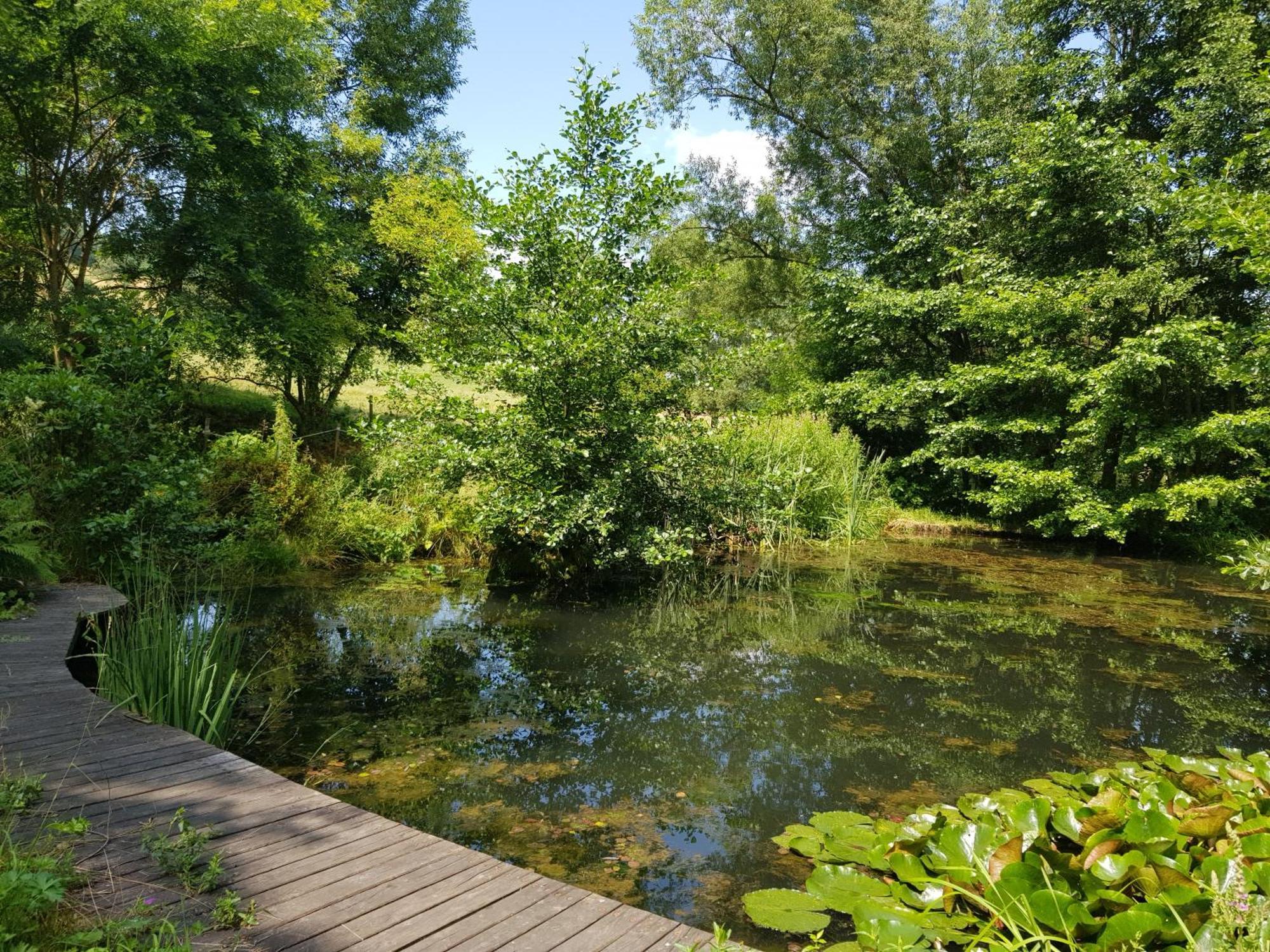 Na Piotrowickiej Przeleczy Villa Bystrzyca Kłodzka Exterior foto