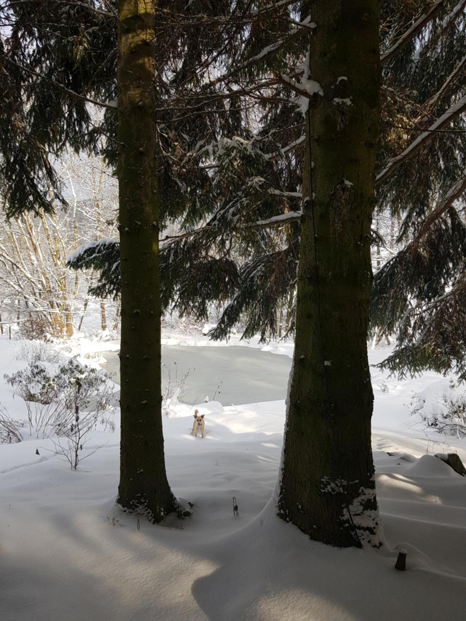 Na Piotrowickiej Przeleczy Villa Bystrzyca Kłodzka Exterior foto