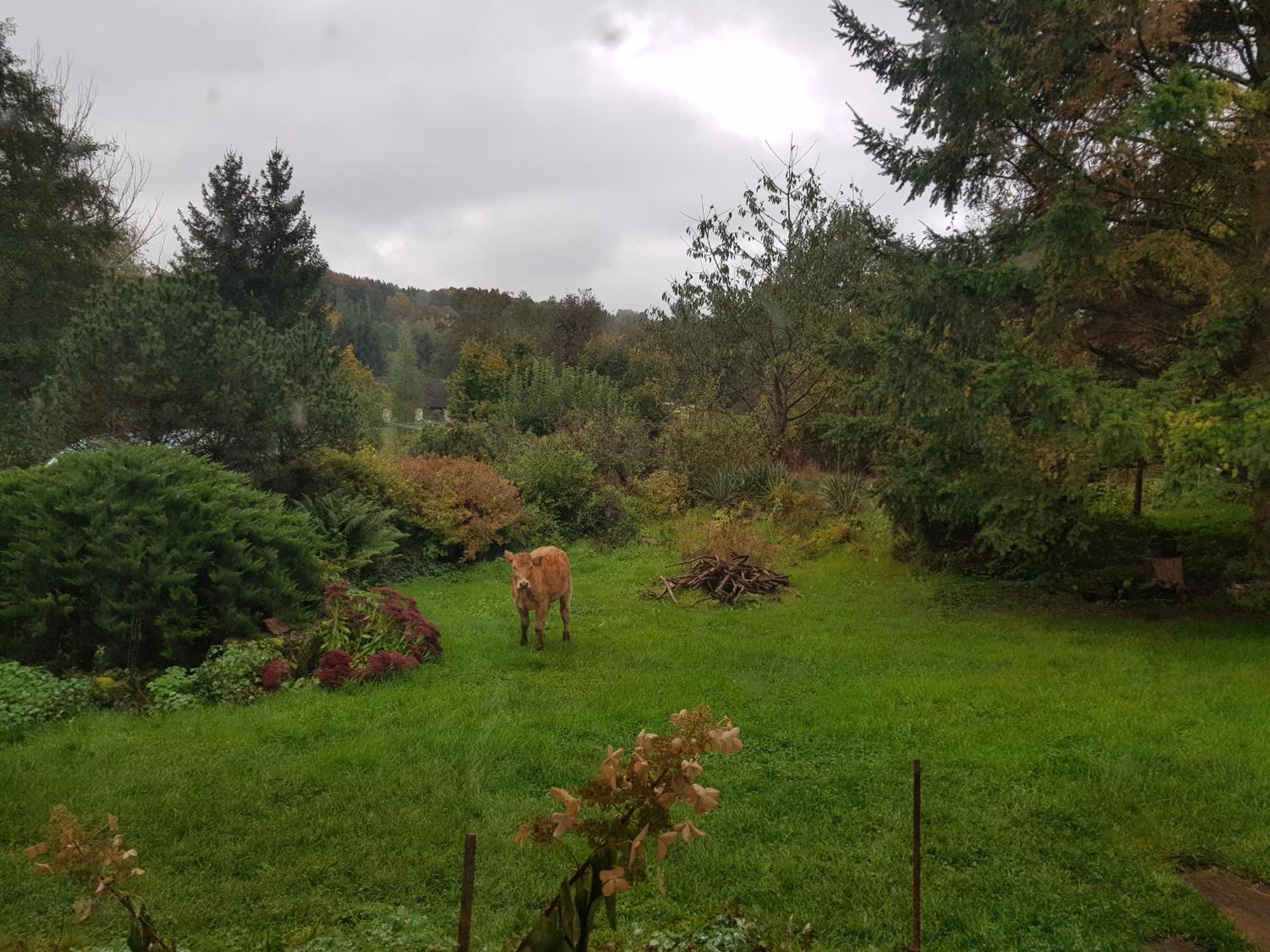 Na Piotrowickiej Przeleczy Villa Bystrzyca Kłodzka Exterior foto