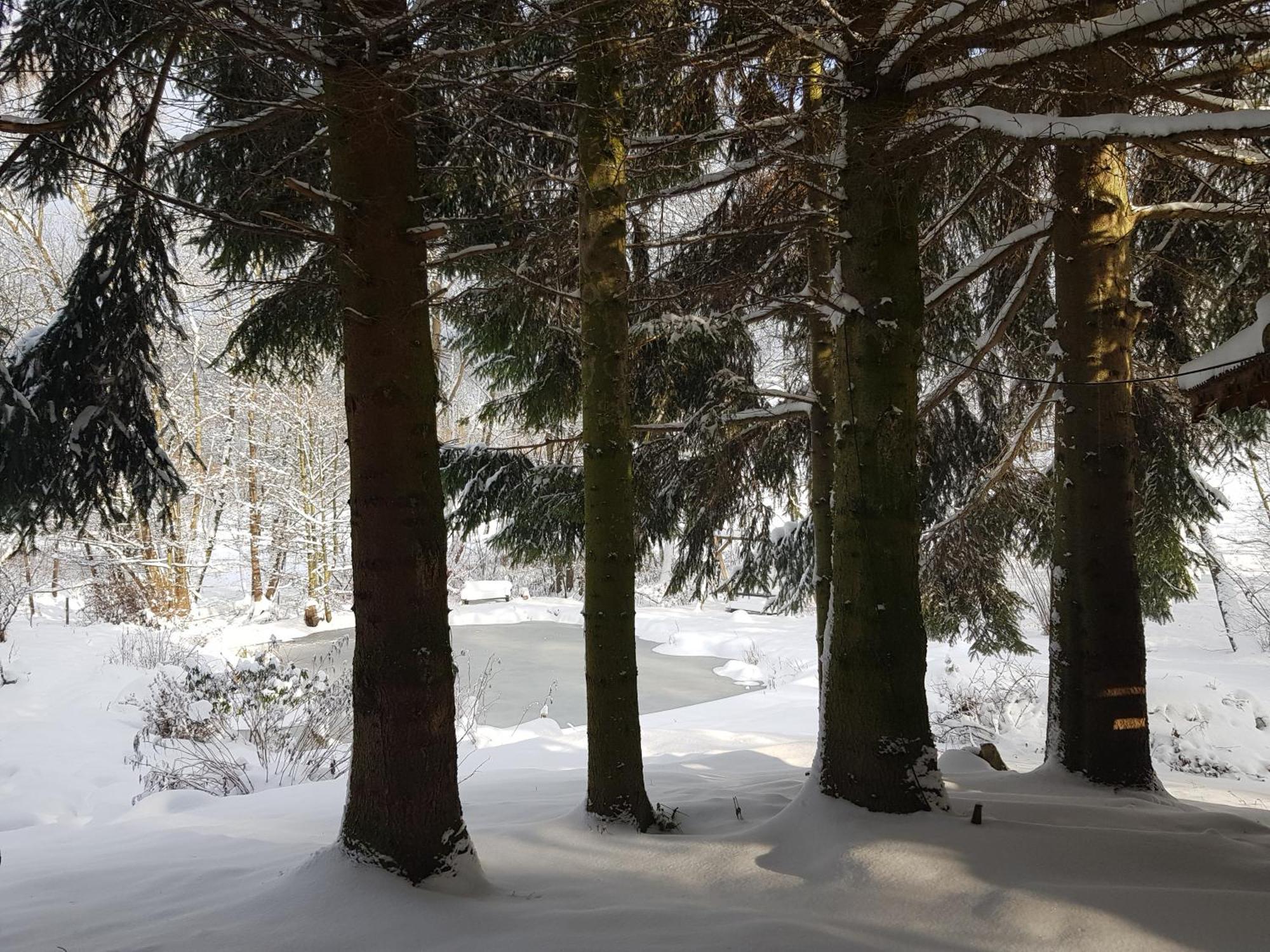 Na Piotrowickiej Przeleczy Villa Bystrzyca Kłodzka Exterior foto