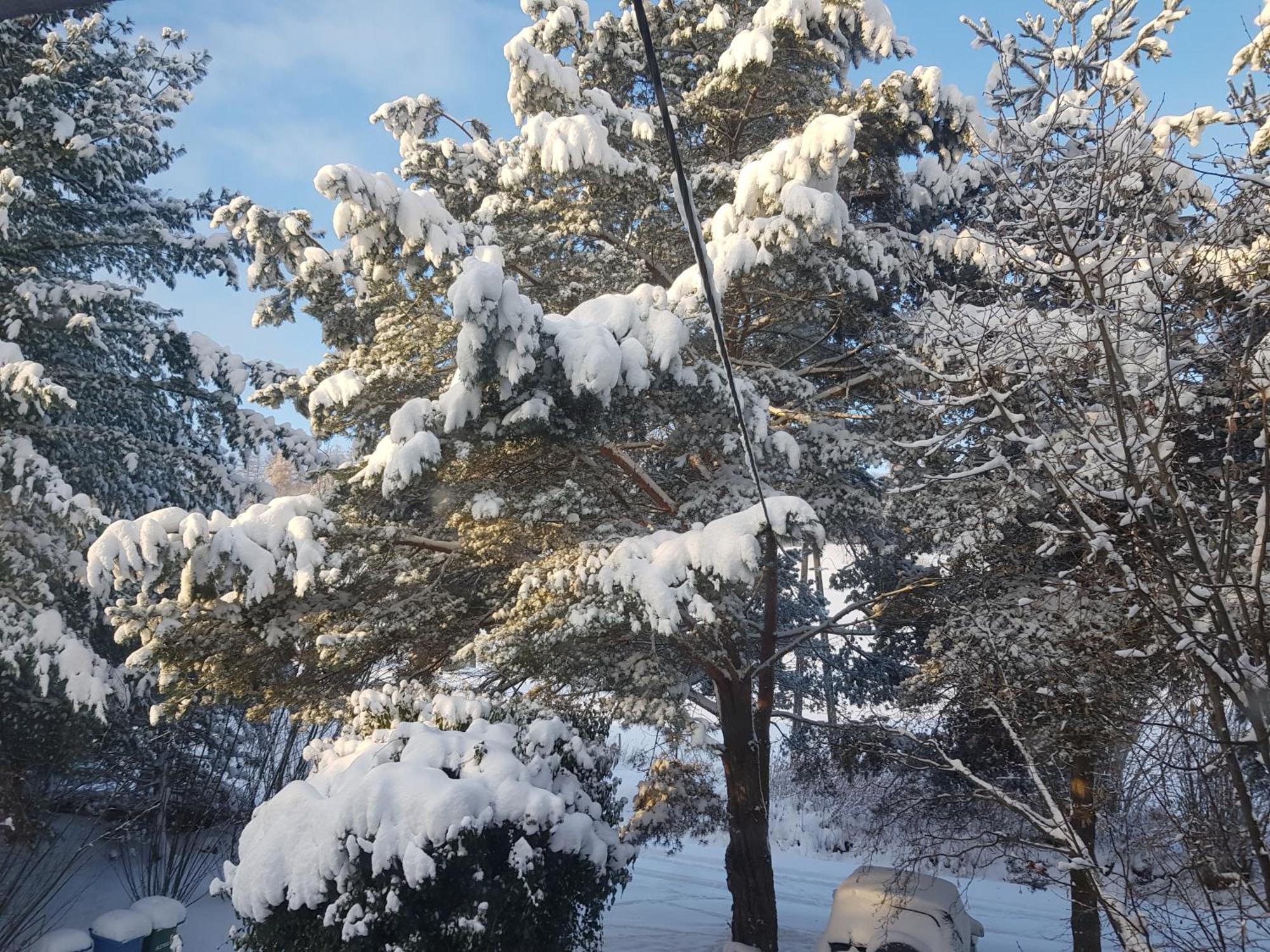 Na Piotrowickiej Przeleczy Villa Bystrzyca Kłodzka Exterior foto